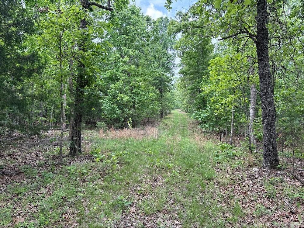  N/A Red Bud Rd  Sturkie, AR