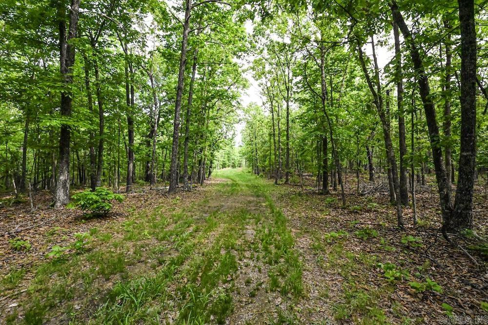  N/A Red Bud Rd  Sturkie, AR