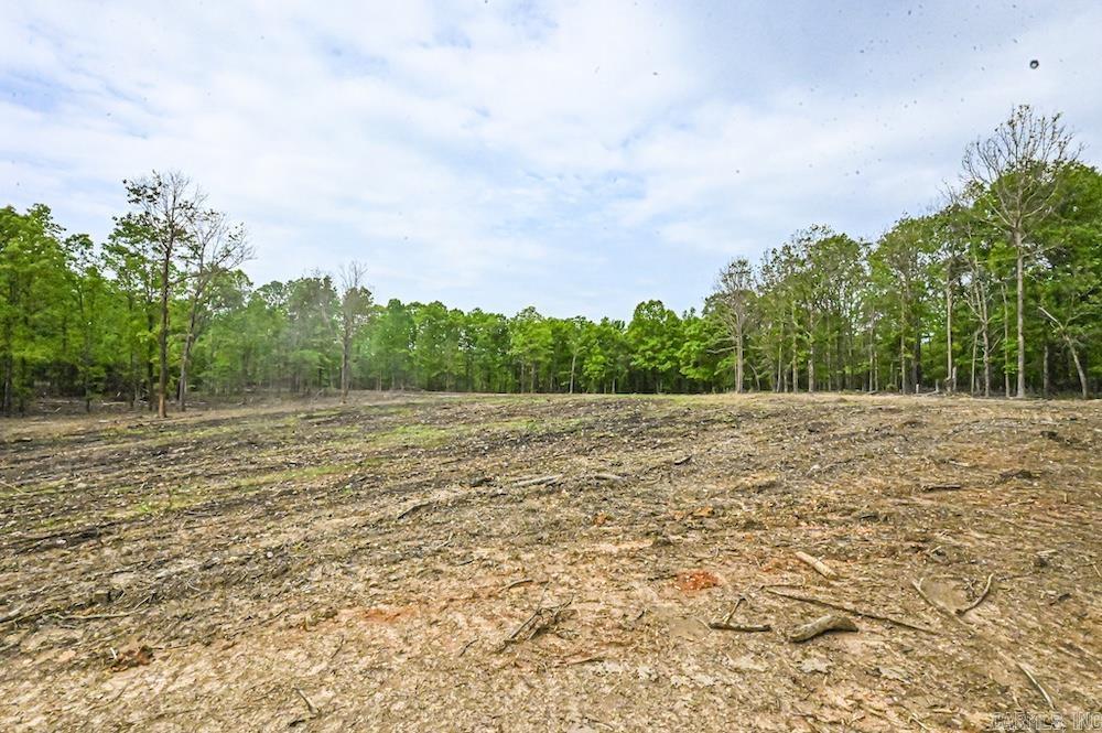 N/A Red Bud Rd  Sturkie, AR