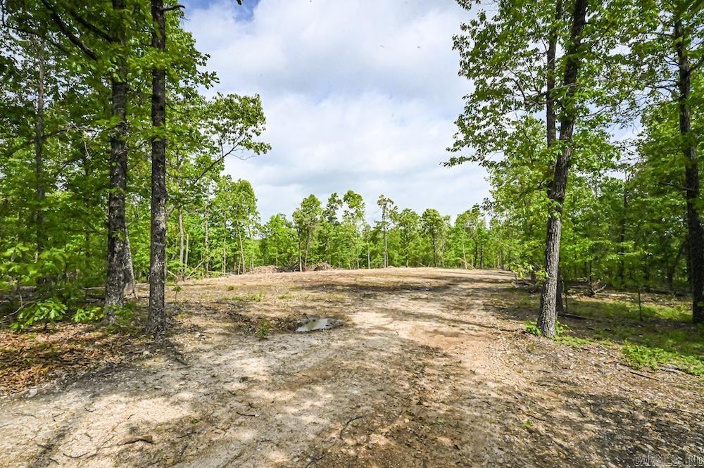  N/A Red Bud Rd  Sturkie, AR