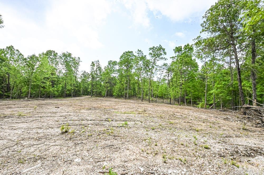  N/A Red Bud Rd  Sturkie, AR