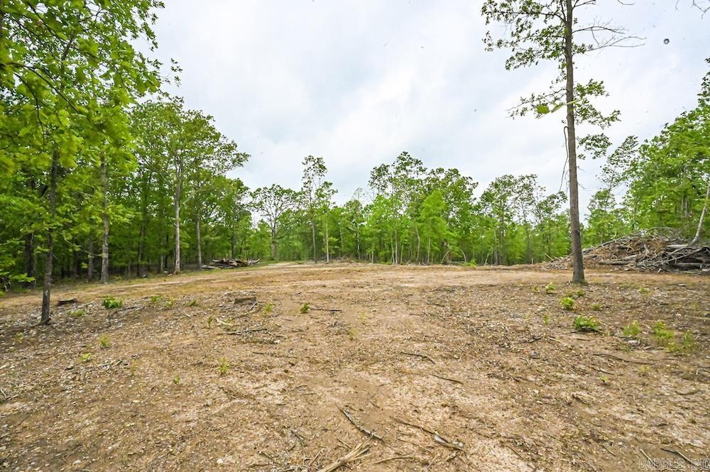  N/A Red Bud Rd  Sturkie, AR