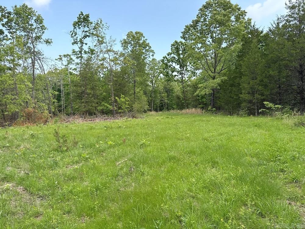  N/A Red Bud Rd  Sturkie, AR