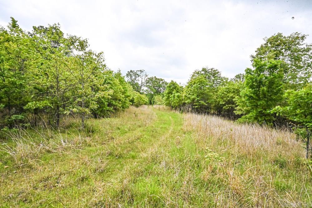  N/A Red Bud Rd  Sturkie, AR
