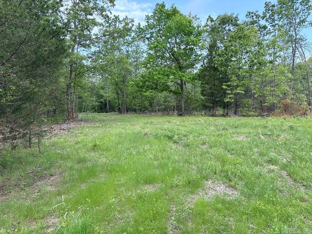  N/A Red Bud Rd  Sturkie, AR