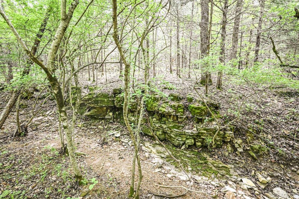  N/A Red Bud Rd  Sturkie, AR