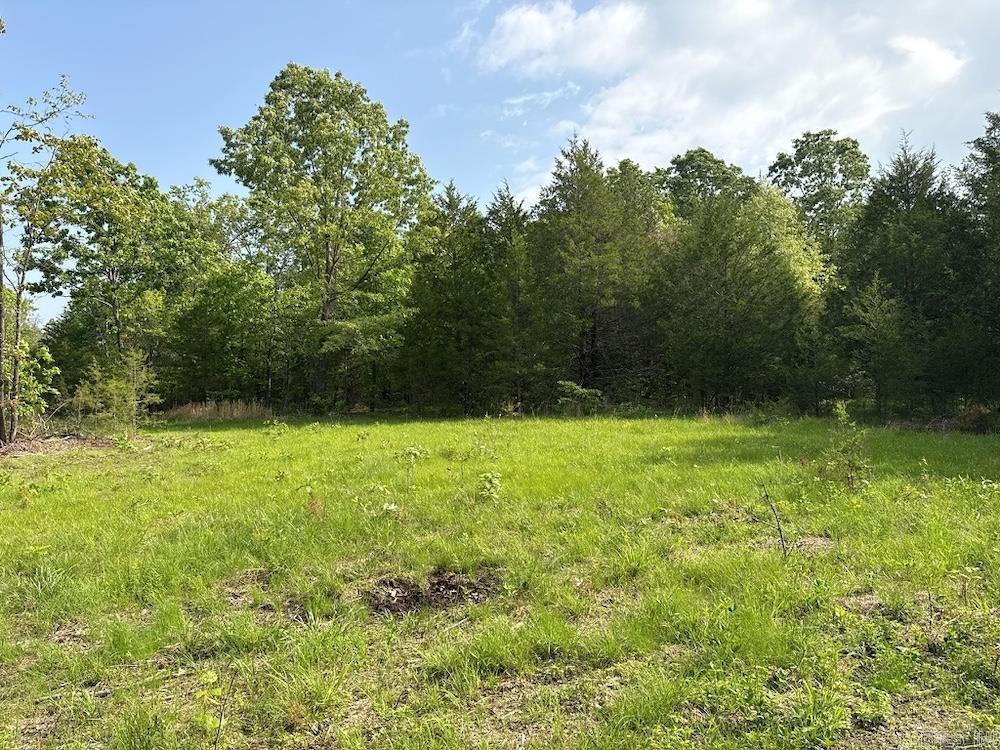  N/A Red Bud Rd  Sturkie, AR
