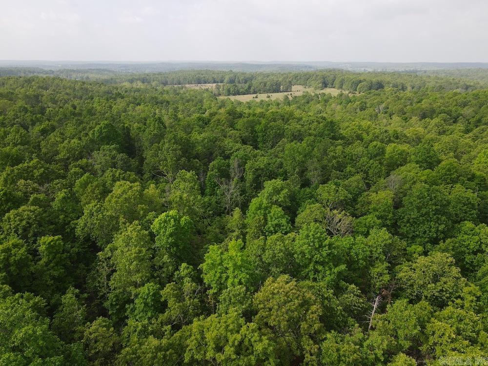  N/A Red Bud Rd  Sturkie, AR