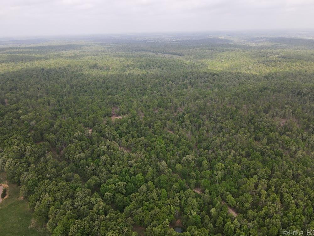  N/A Red Bud Rd  Sturkie, AR
