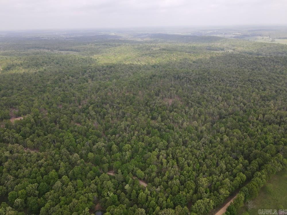  N/A Red Bud Rd  Sturkie, AR