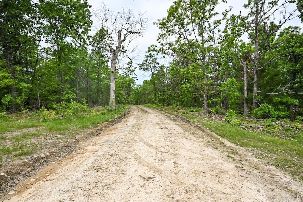  N/A Red Bud Rd  Sturkie, AR