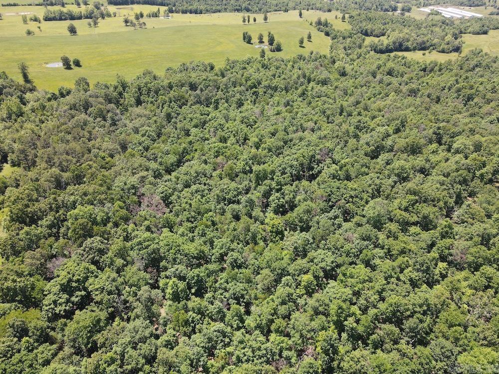 3964 Wes Arnold Road  Franklin, AR