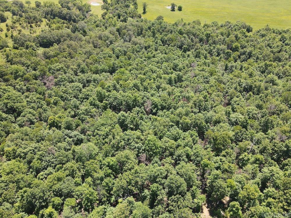 3964 Wes Arnold Road  Franklin, AR