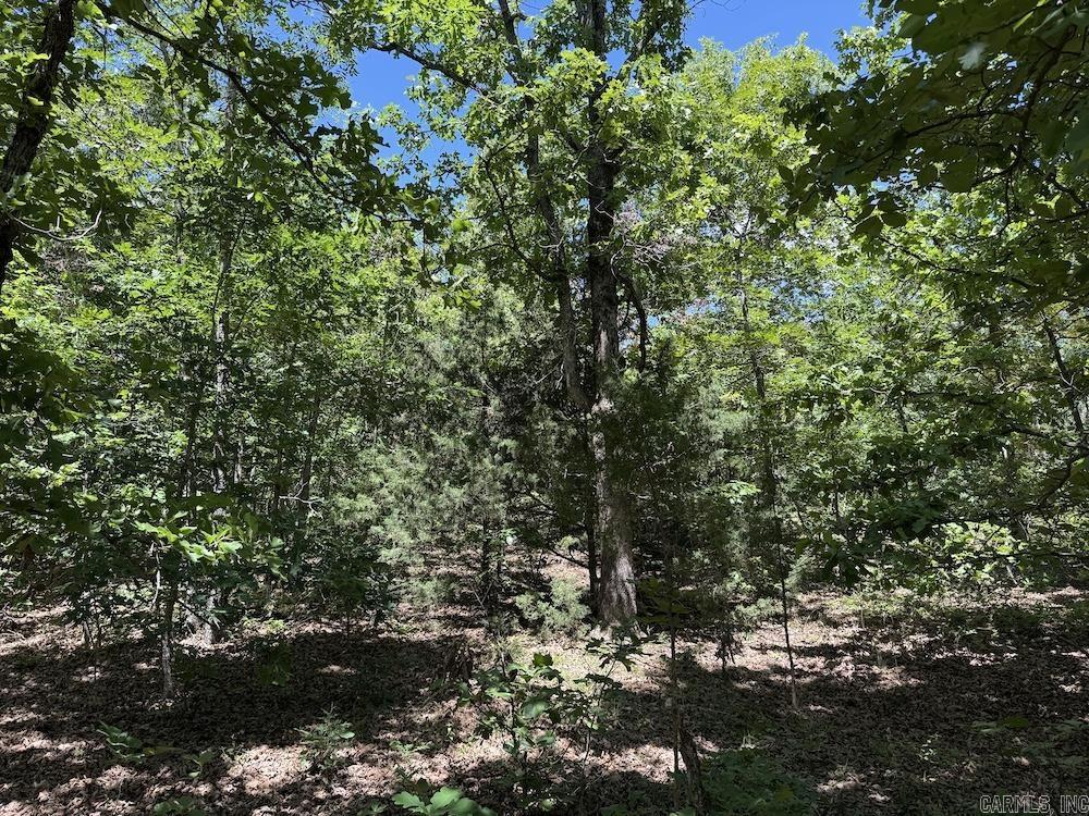 3964 Wes Arnold Road  Franklin, AR