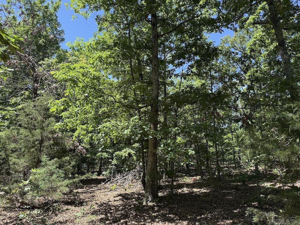 3964 Wes Arnold Road  Franklin, AR