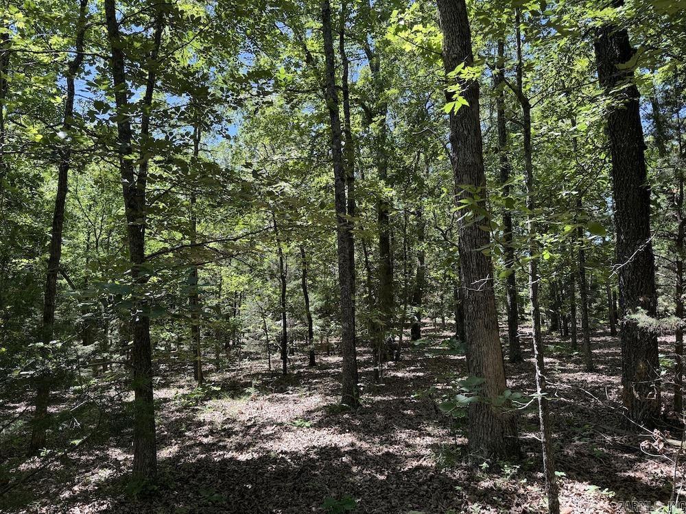 3964 Wes Arnold Road  Franklin, AR