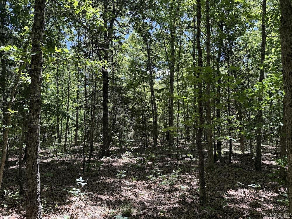 3964 Wes Arnold Road  Franklin, AR