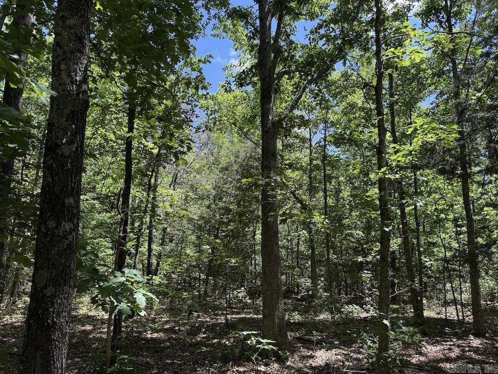 3964 Wes Arnold Road  Franklin, AR