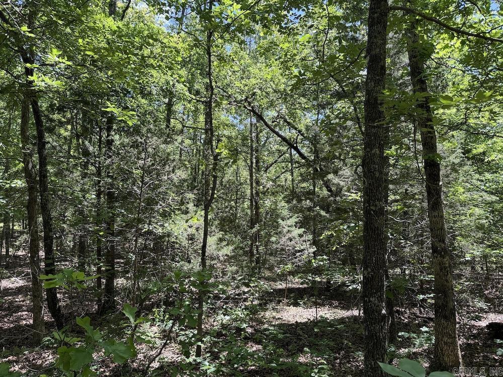 3964 Wes Arnold Road  Franklin, AR