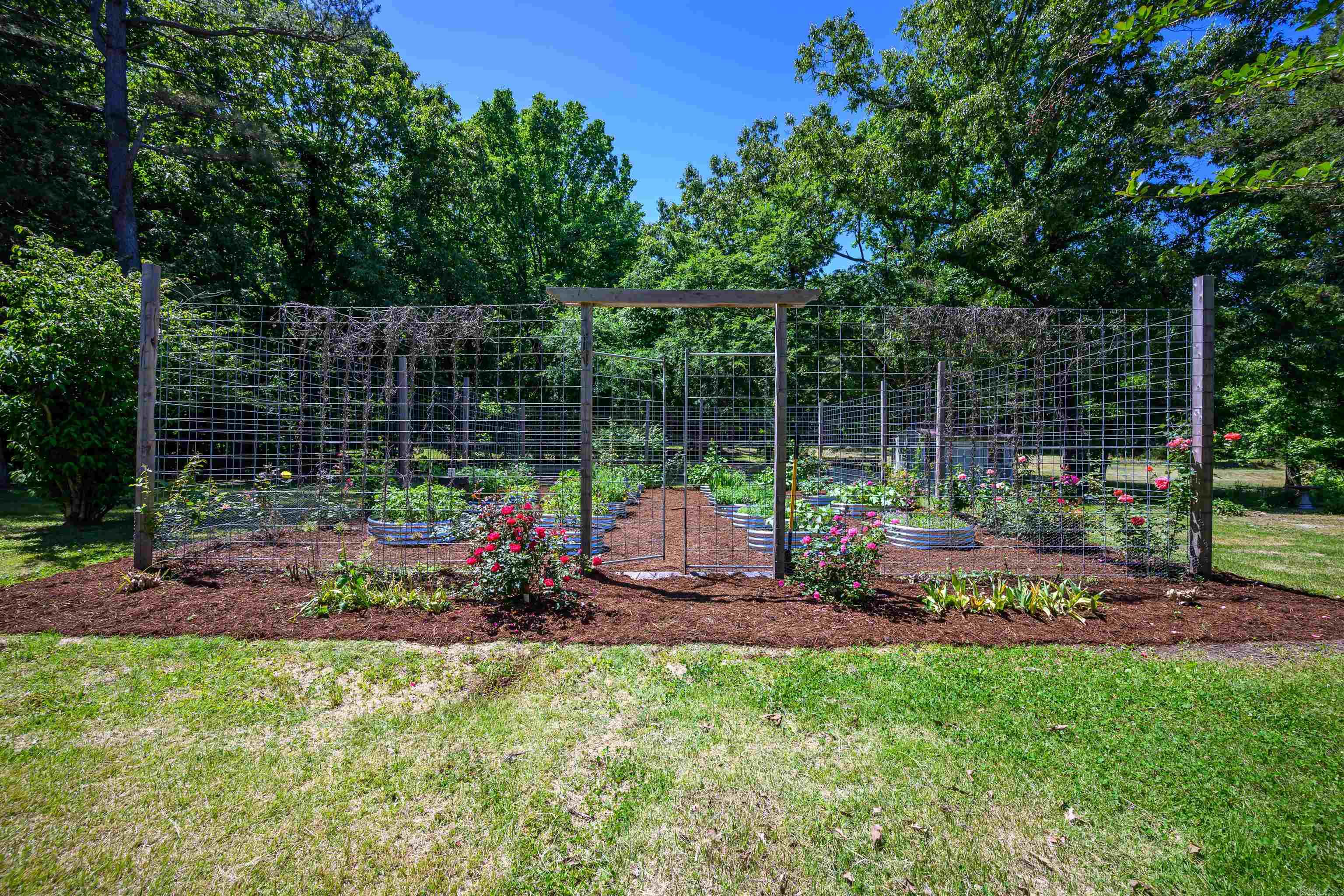 50 Hawkins  Cord, AR