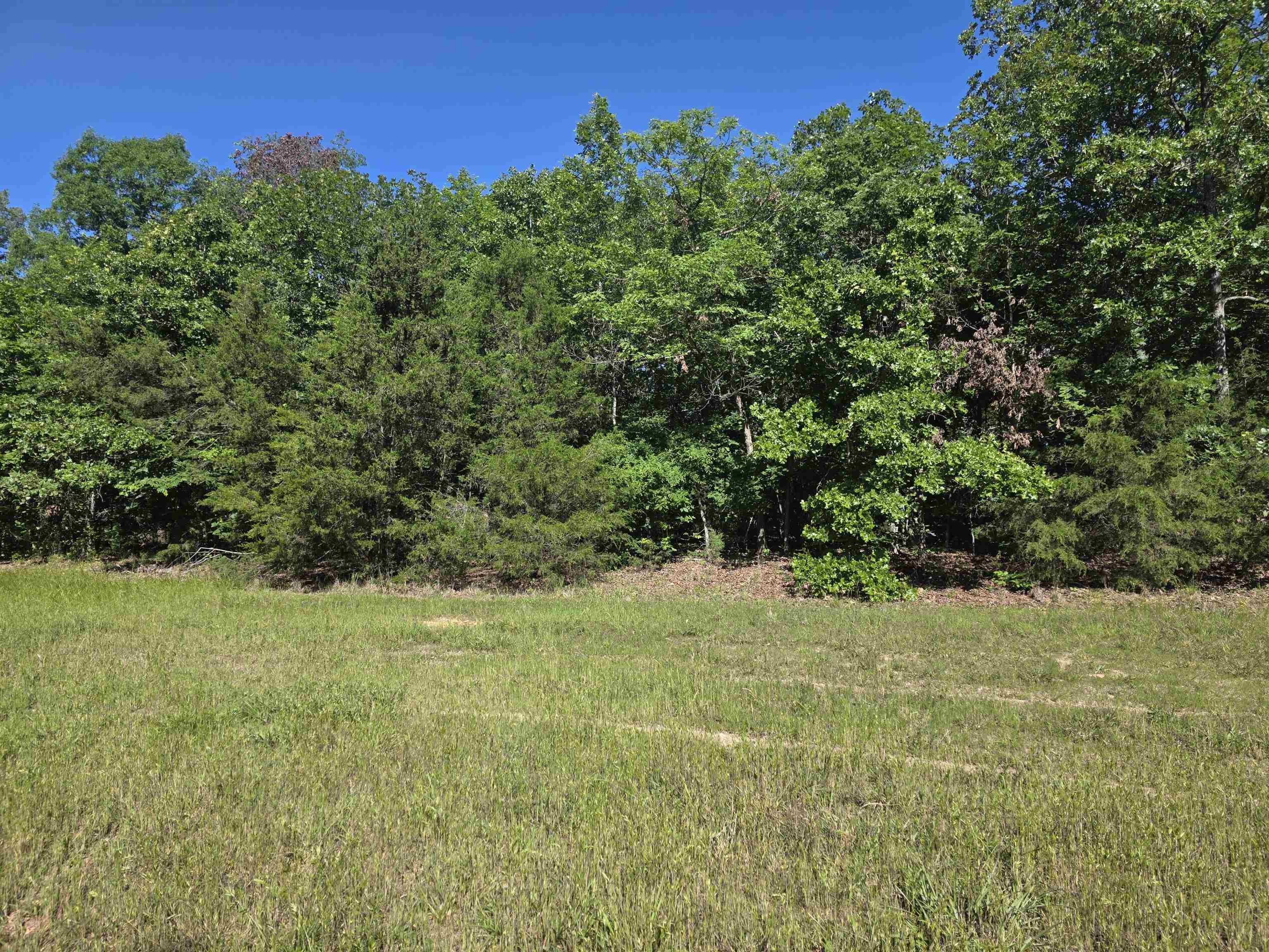 L-52 Barnes  Evening Shade, AR