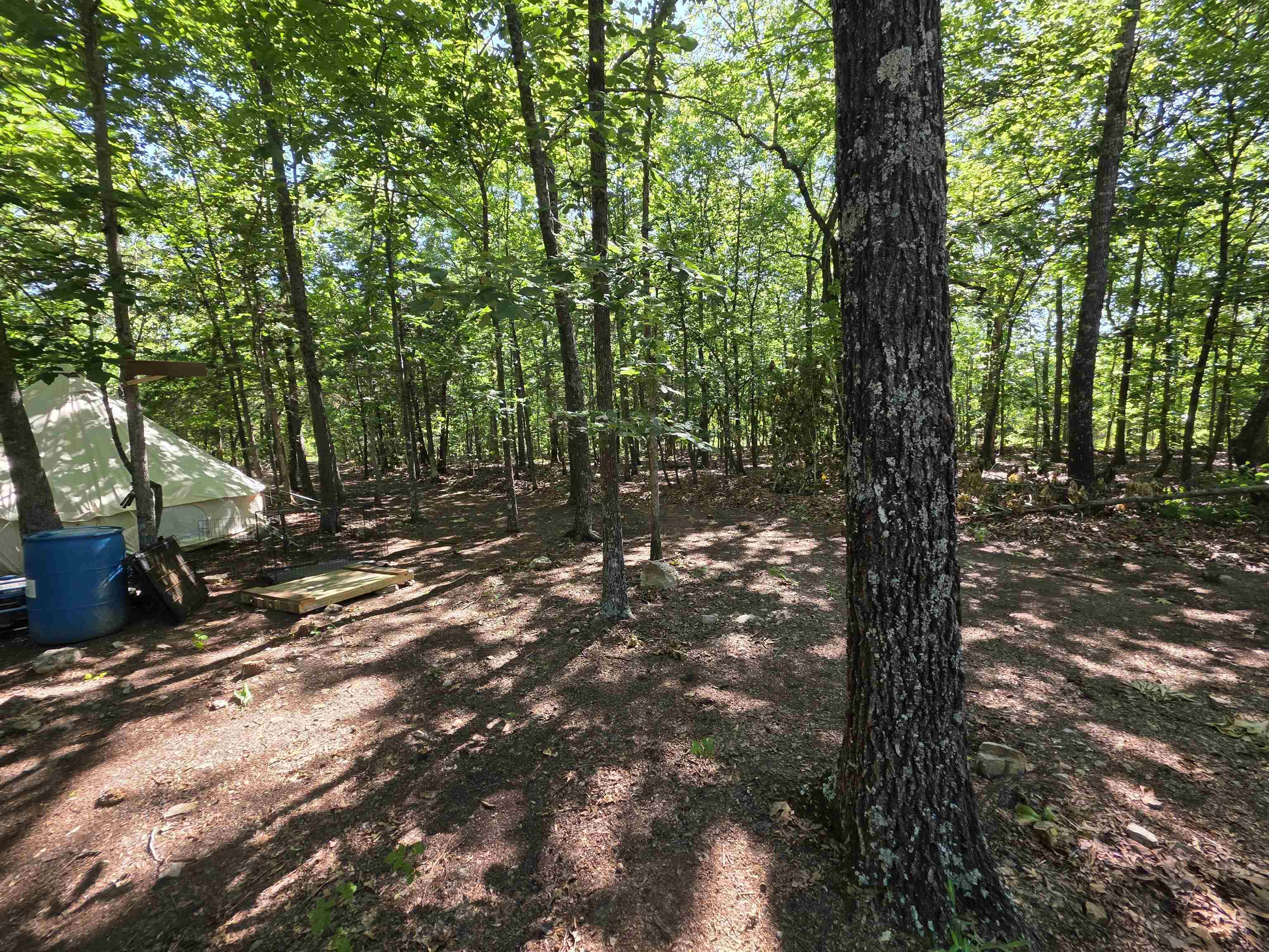 L-52 Barnes  Evening Shade, AR