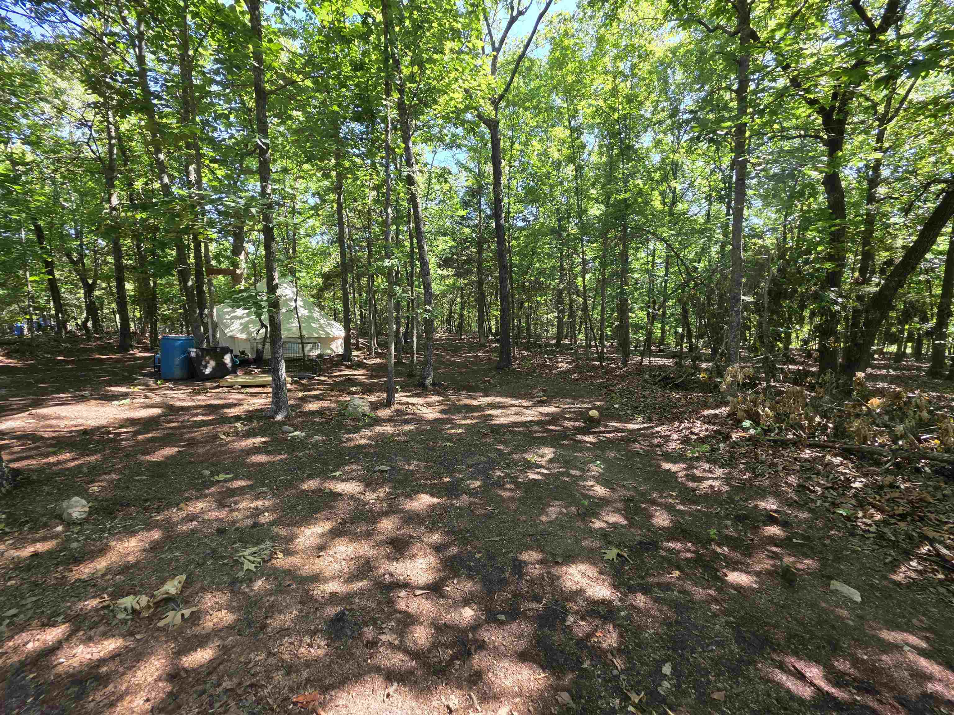 L-52 Barnes  Evening Shade, AR