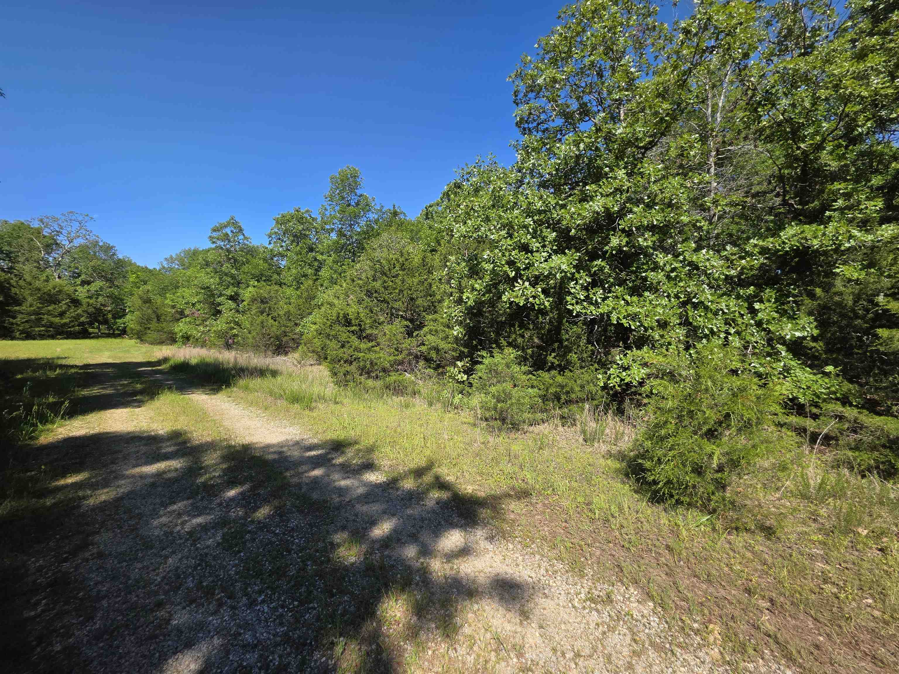 L-52 Barnes  Evening Shade, AR