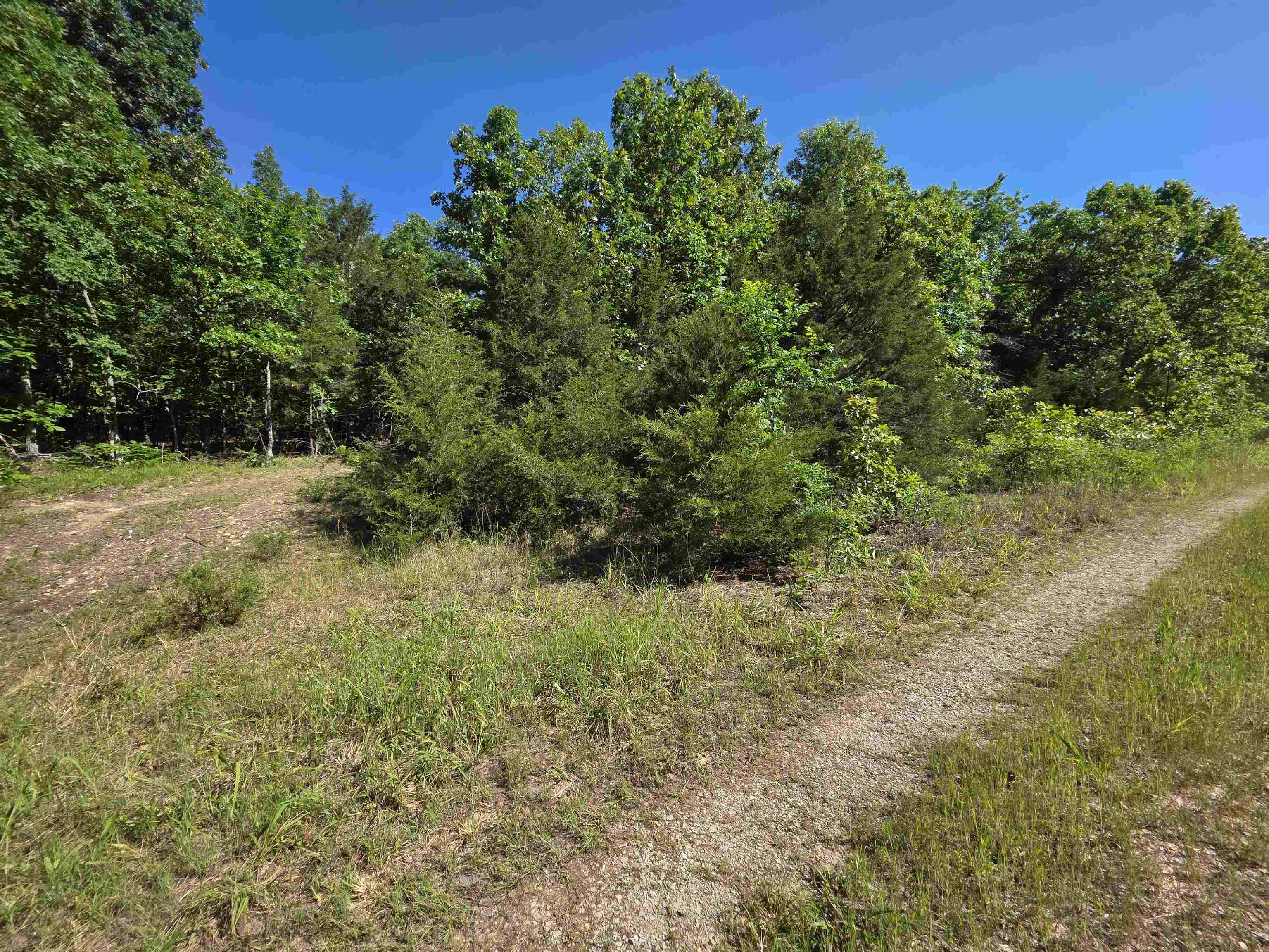 L-52 Barnes  Evening Shade, AR