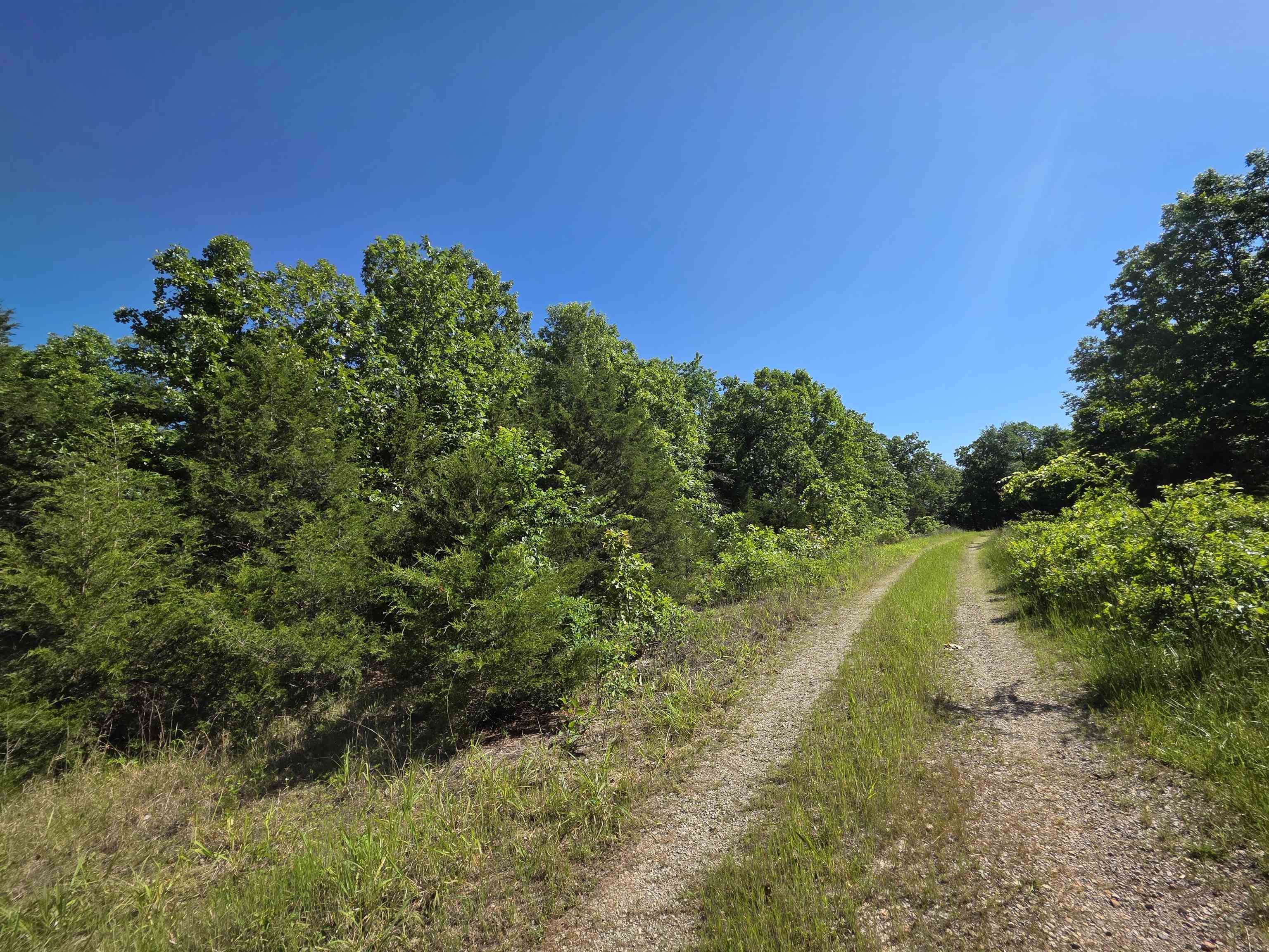 L-52 Barnes  Evening Shade, AR