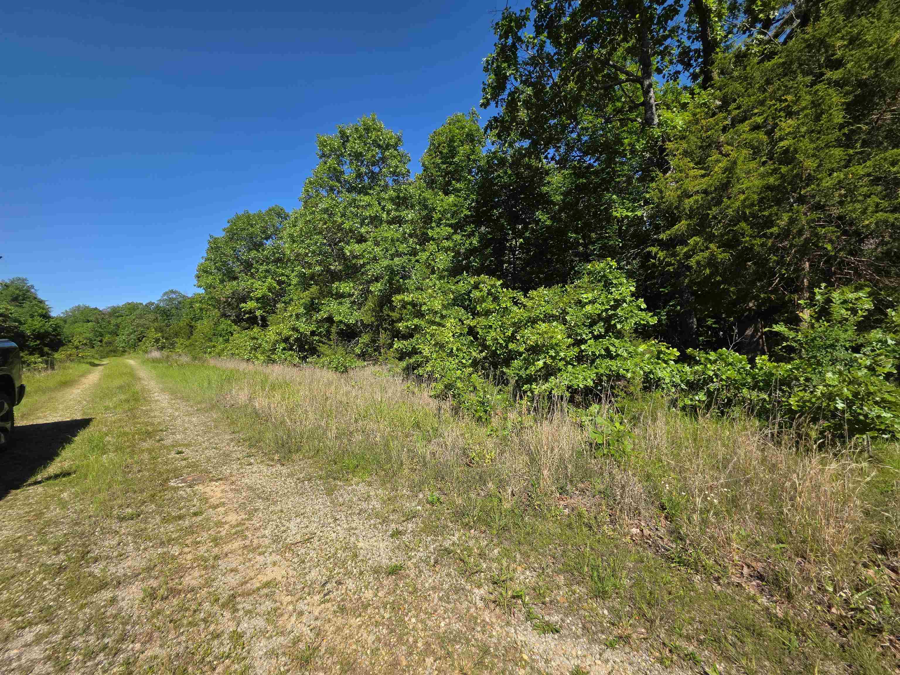 L-52 Barnes  Evening Shade, AR