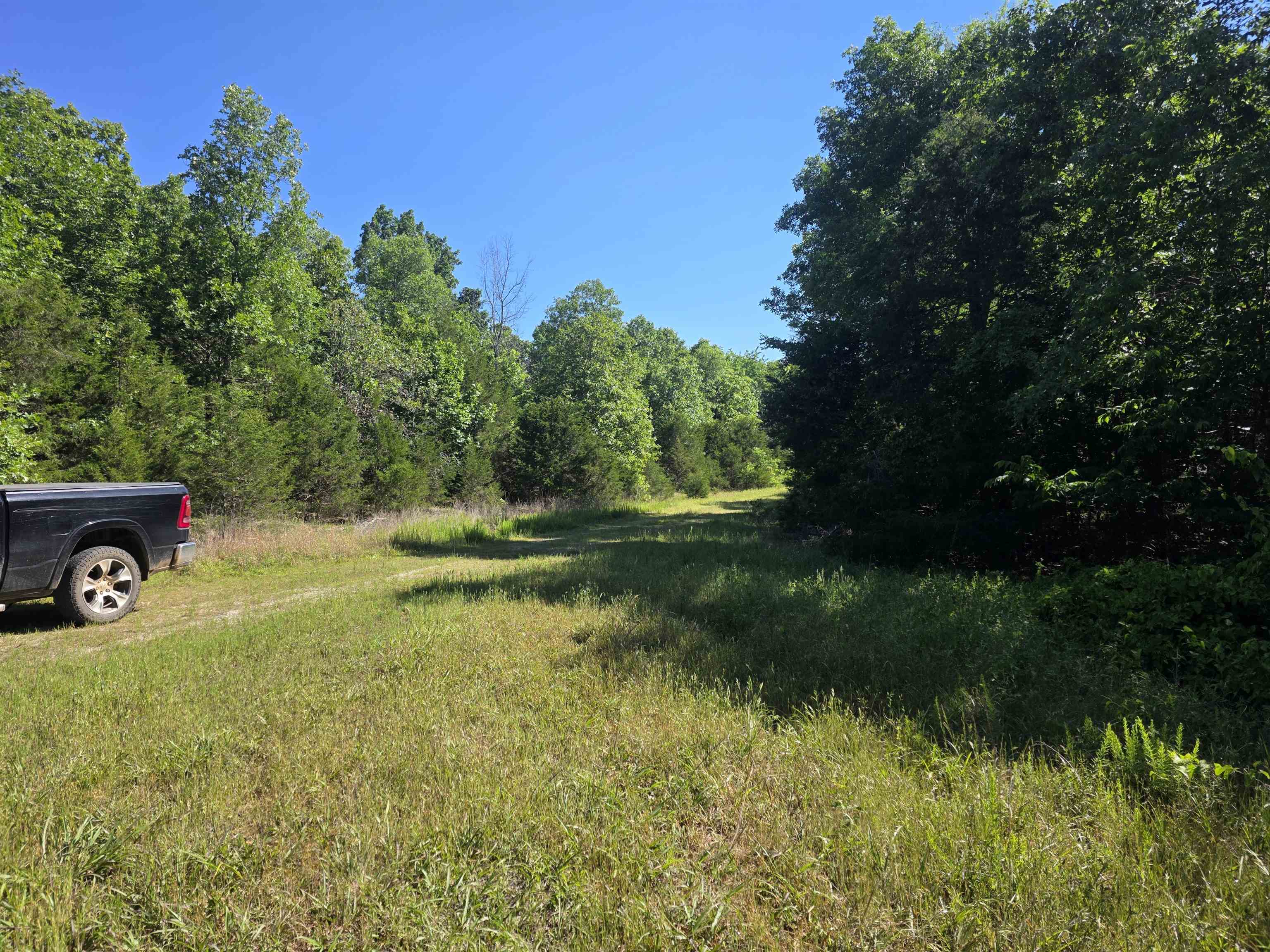 L-52 Barnes  Evening Shade, AR