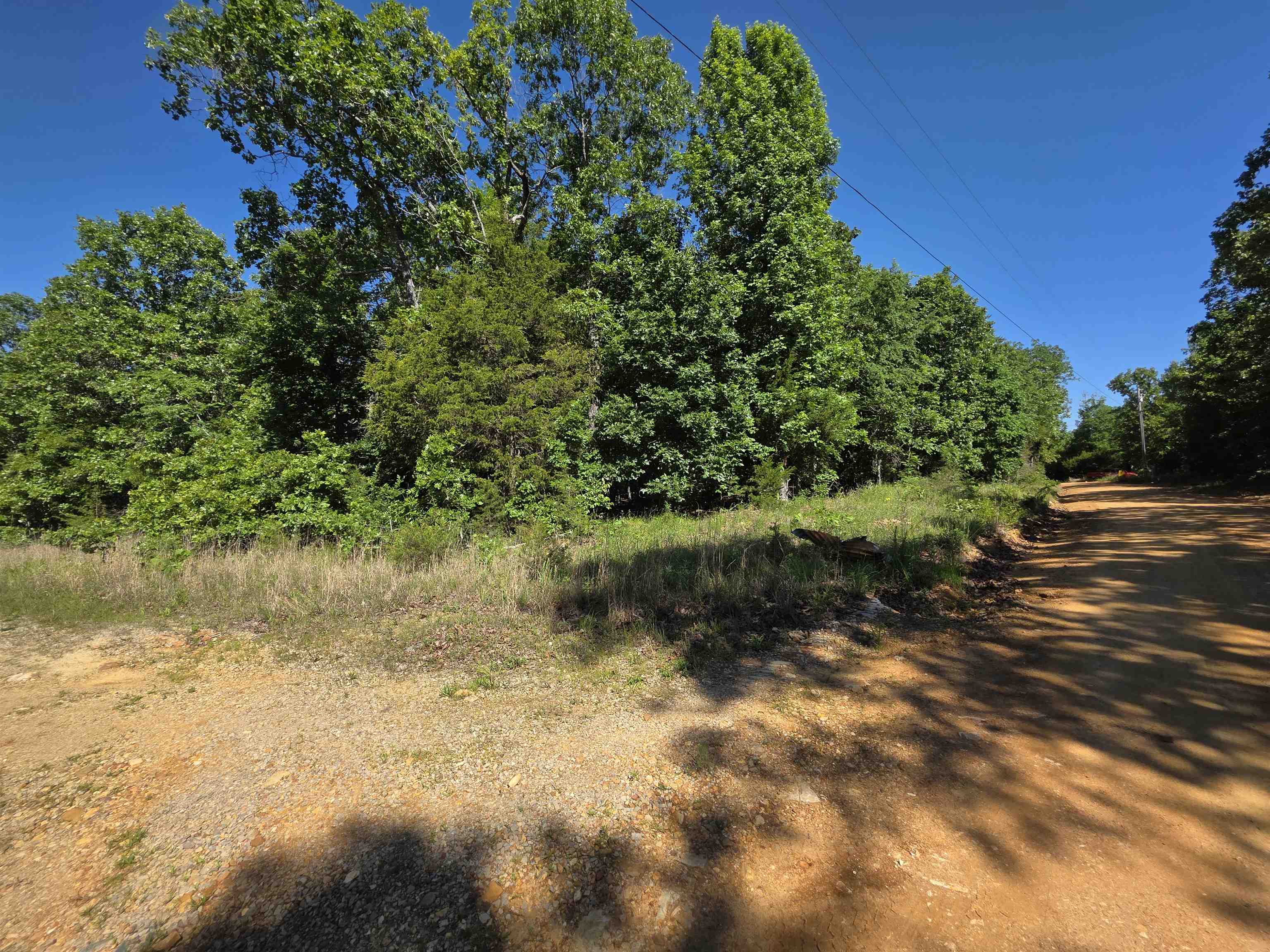 L-52 Barnes  Evening Shade, AR