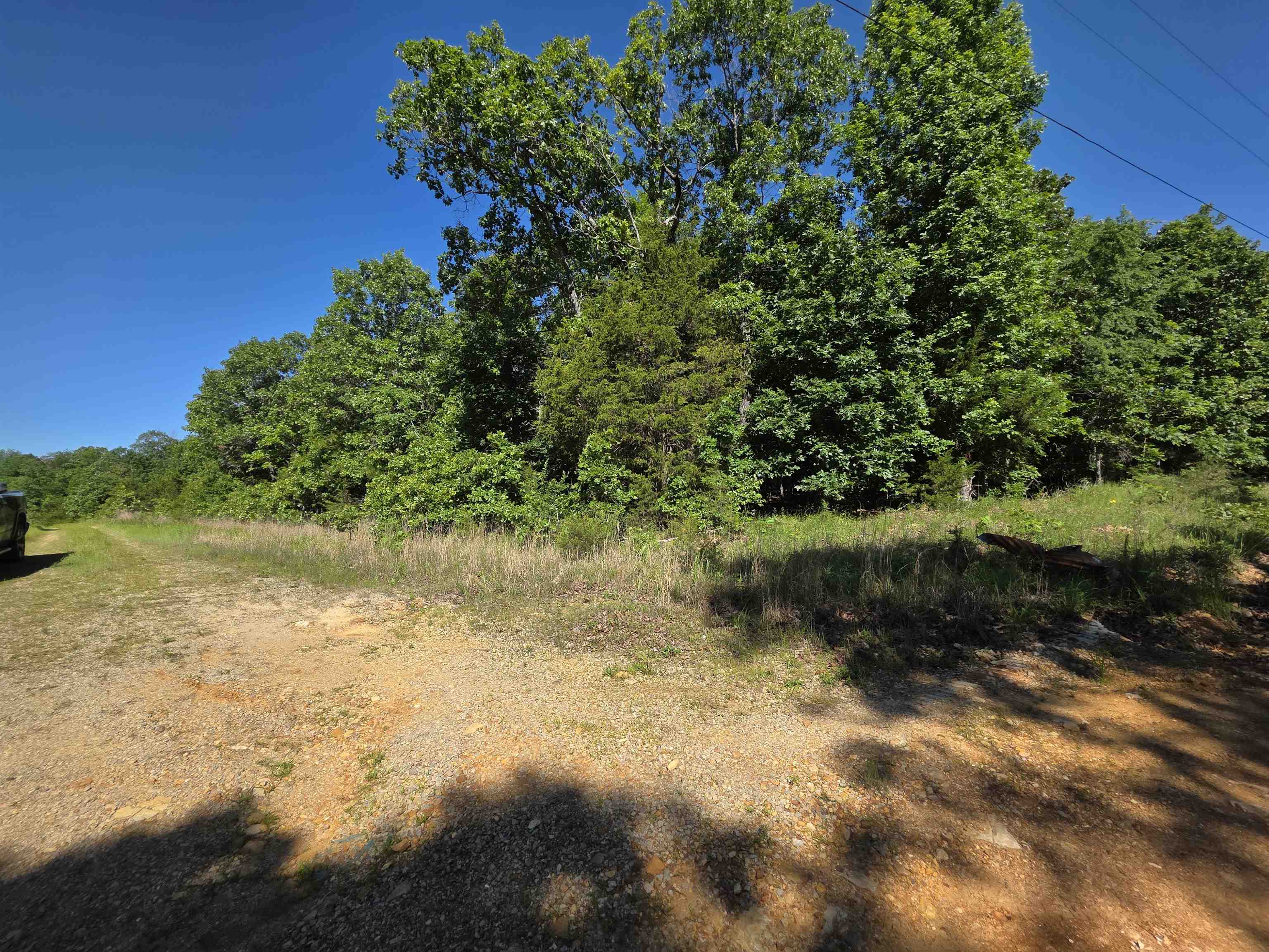 L-52 Barnes  Evening Shade, AR