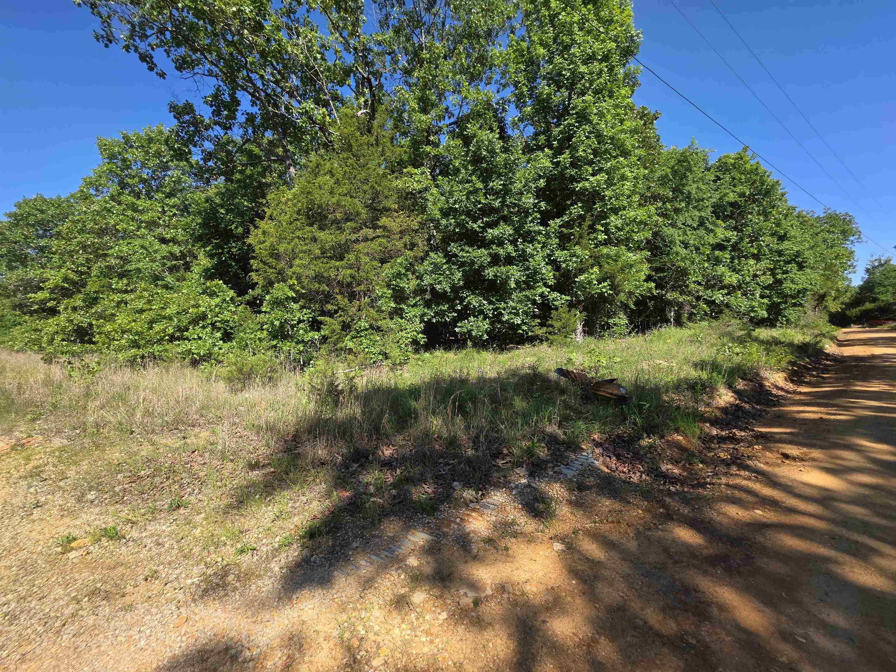 L-52 Barnes  Evening Shade, AR