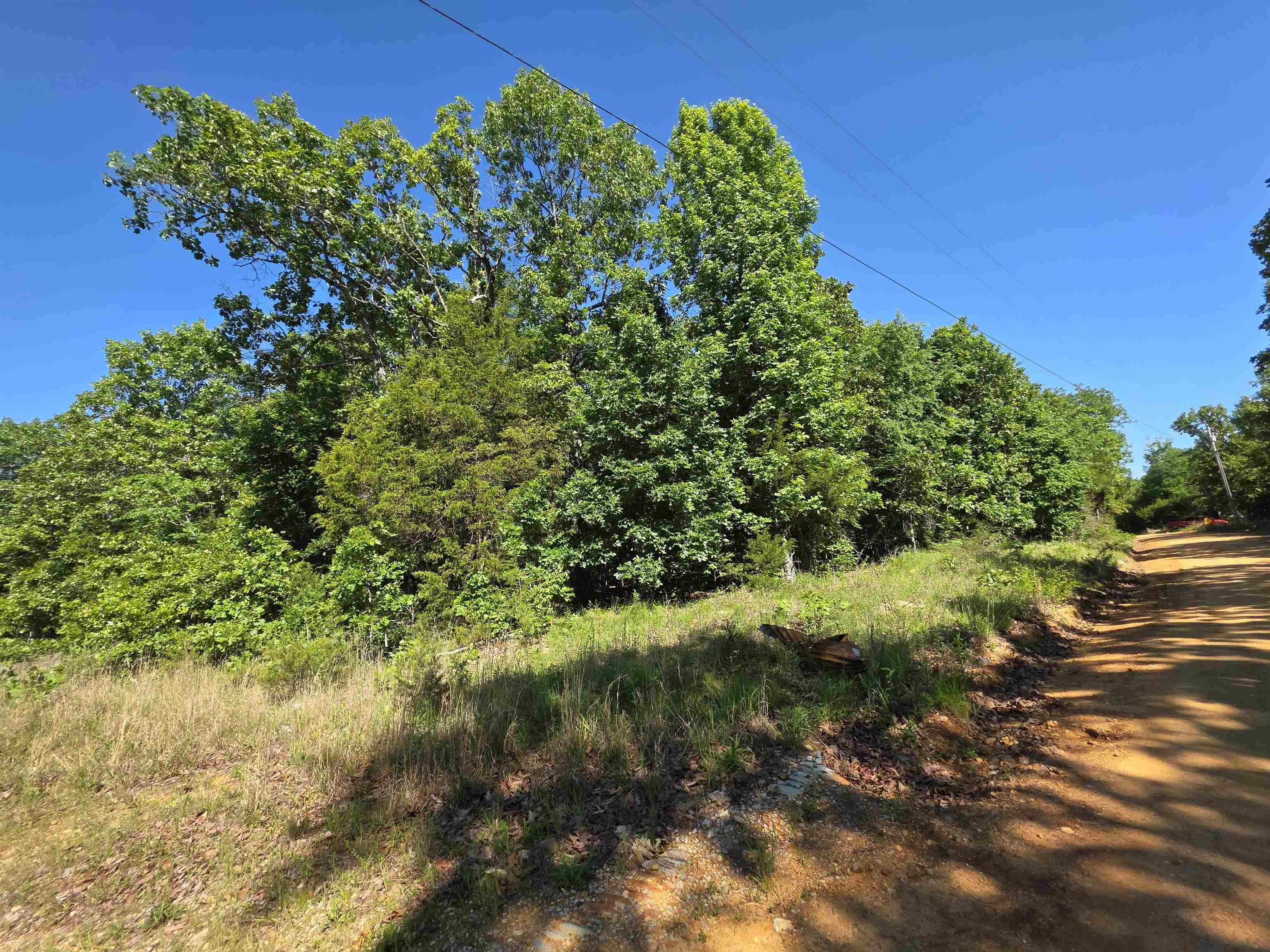L-52 Barnes  Evening Shade, AR