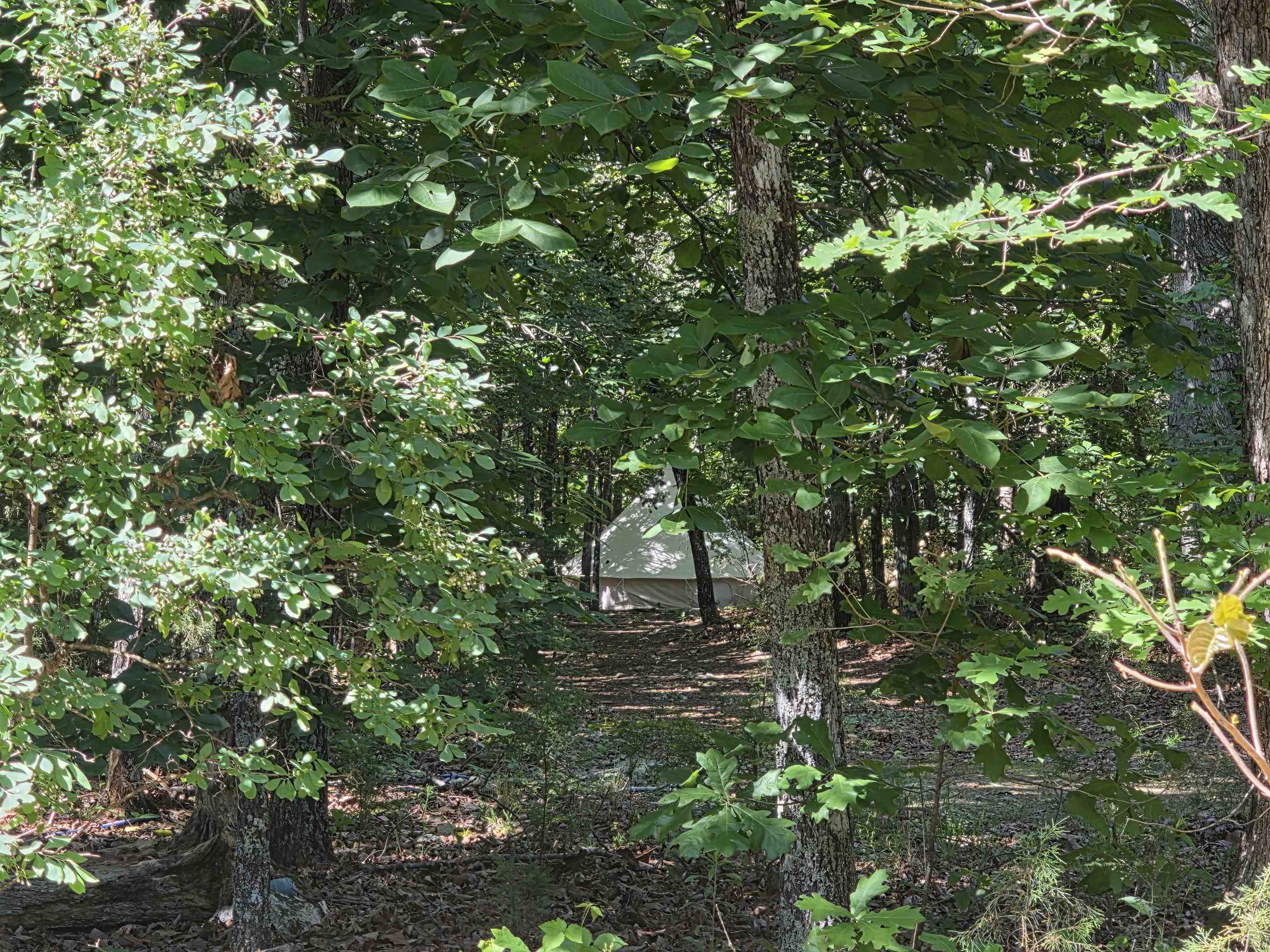 L-52 Barnes  Evening Shade, AR