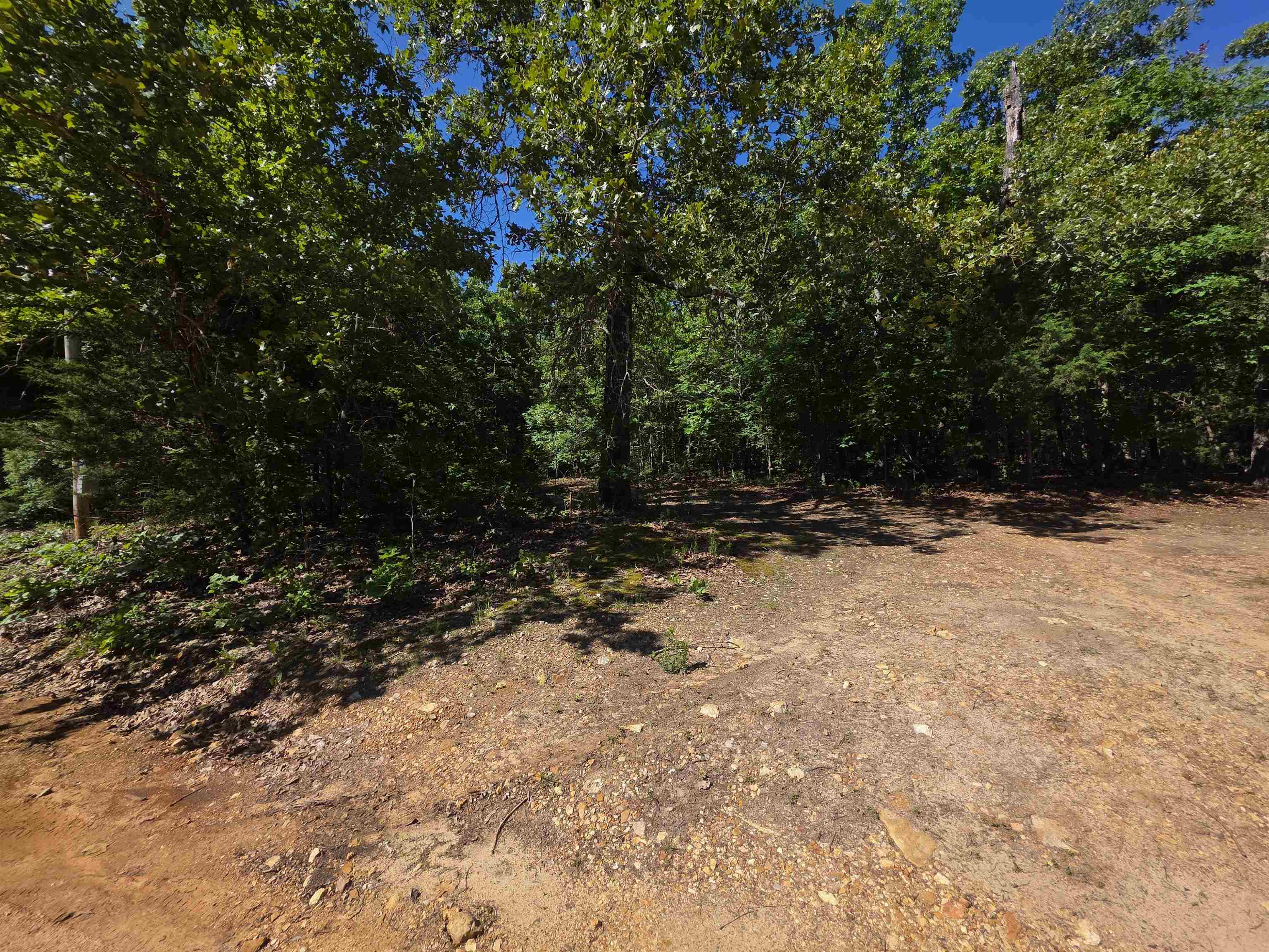 L-52 Barnes  Evening Shade, AR