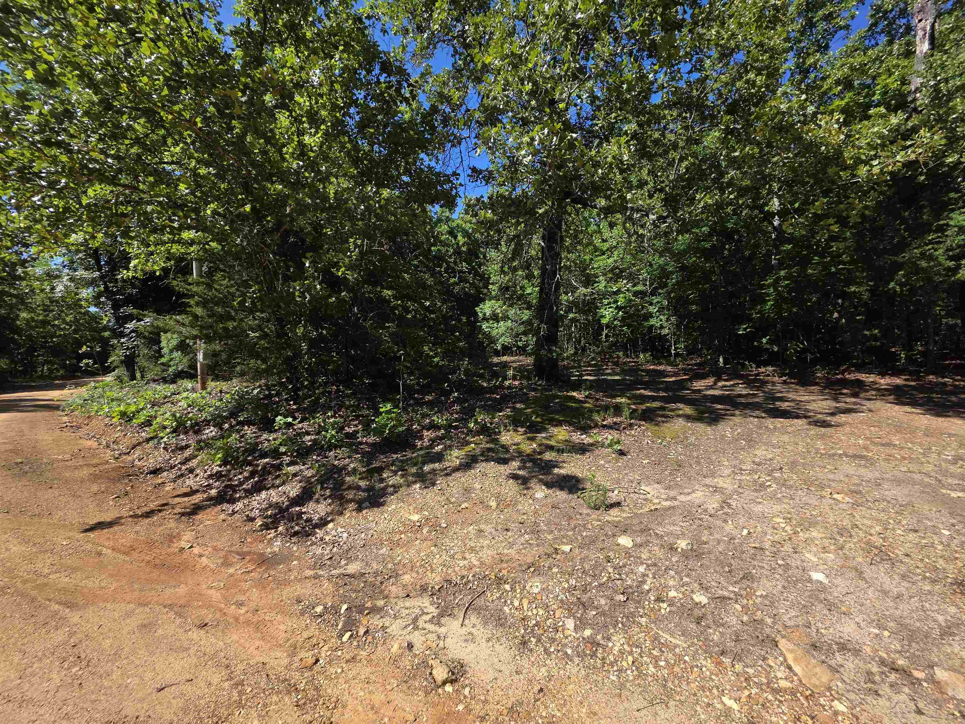 L-52 Barnes  Evening Shade, AR