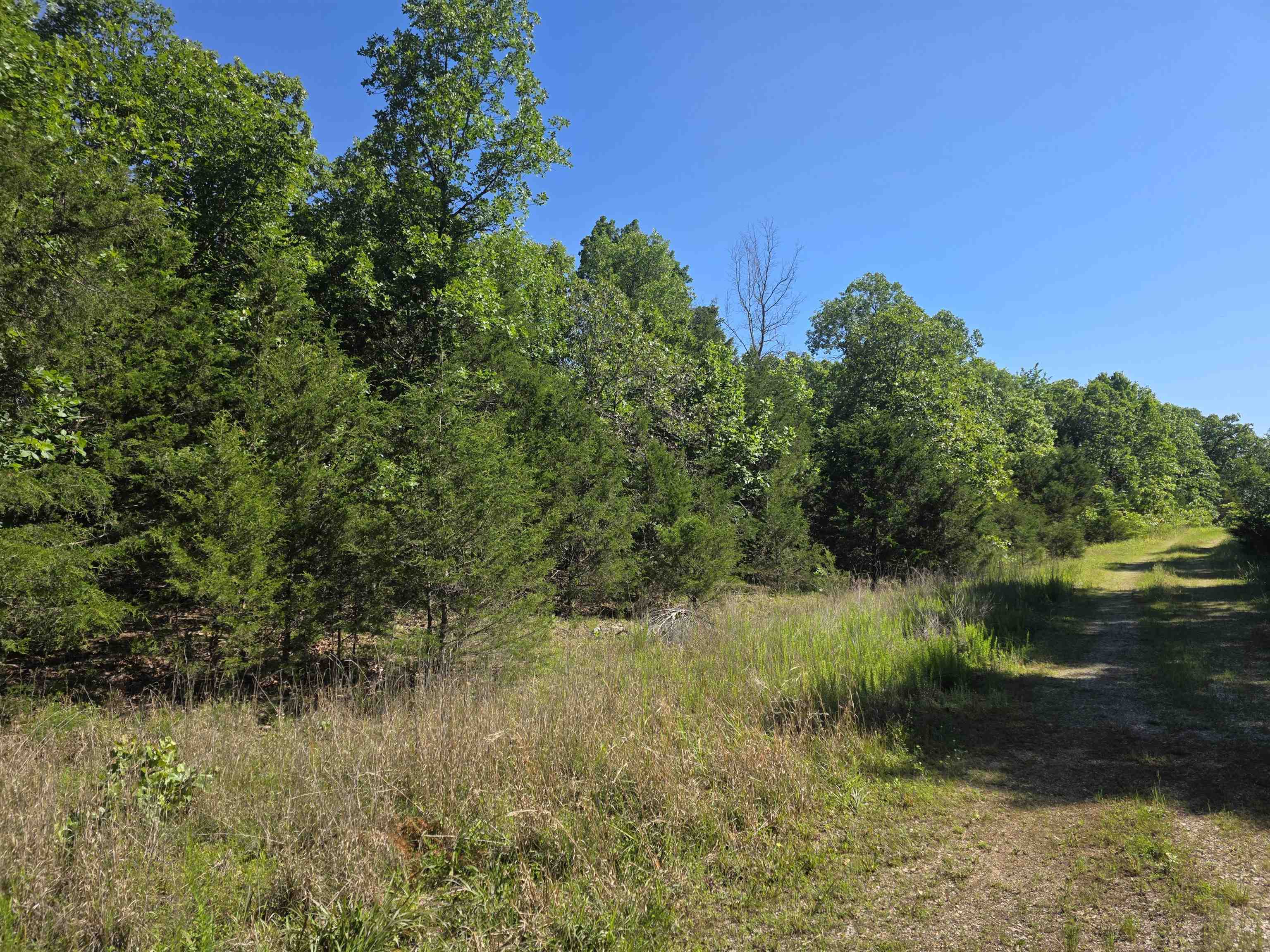 L-52 Barnes  Evening Shade, AR