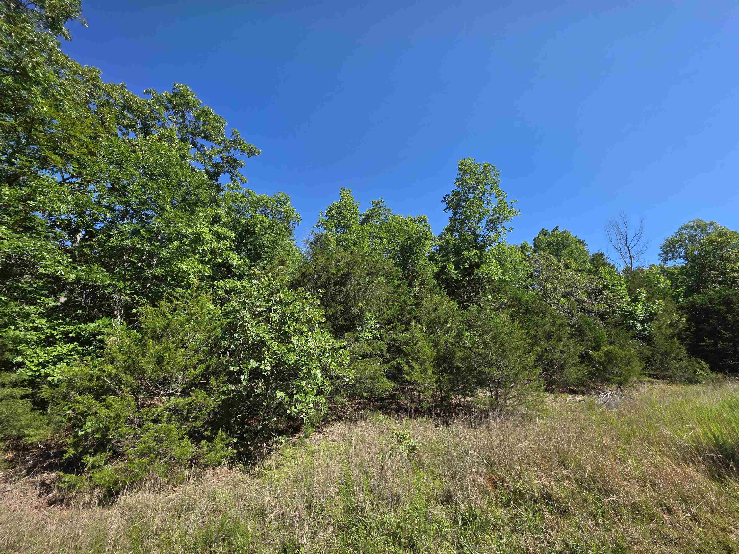 L-52 Barnes  Evening Shade, AR