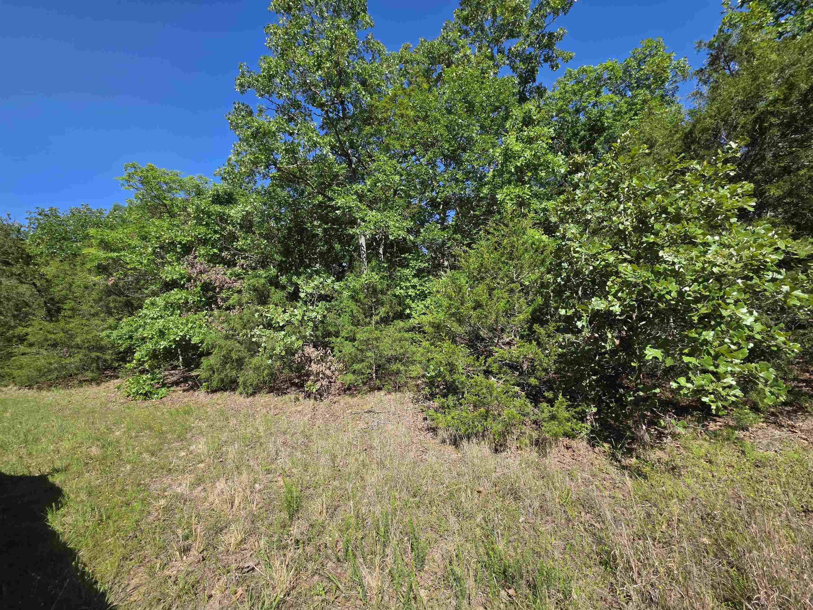 L-52 Barnes  Evening Shade, AR