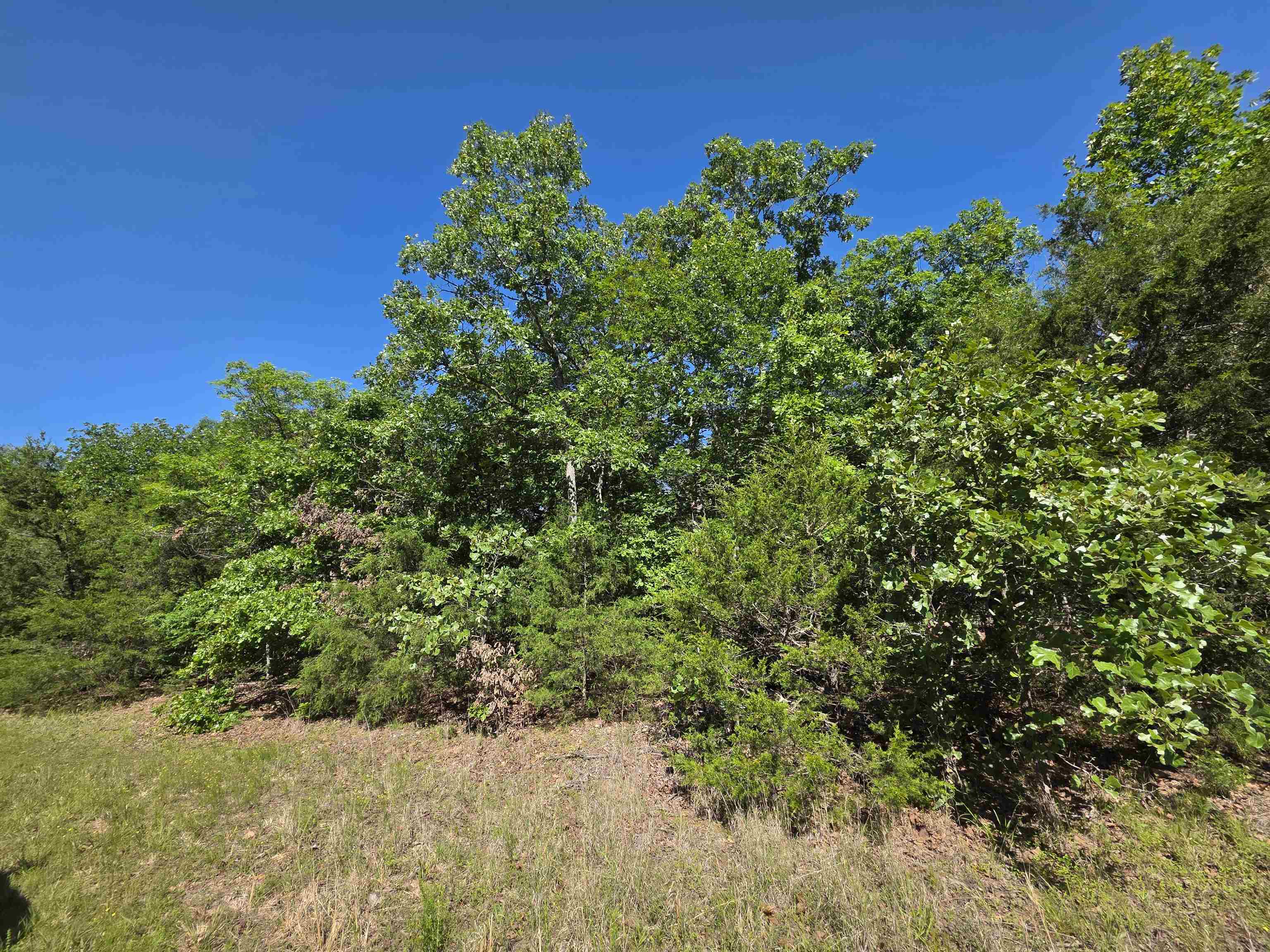 L-52 Barnes  Evening Shade, AR