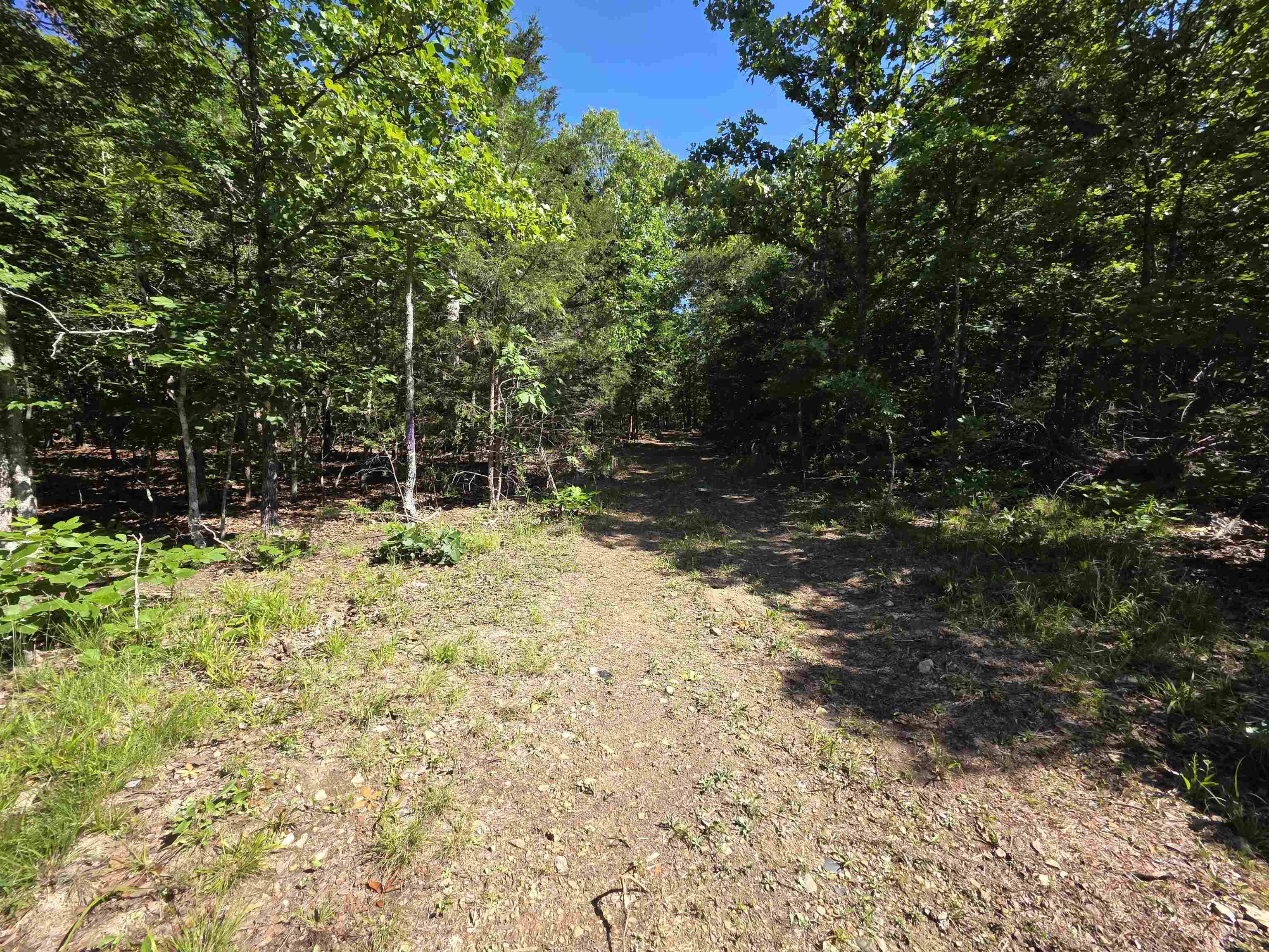L-52 Barnes  Evening Shade, AR