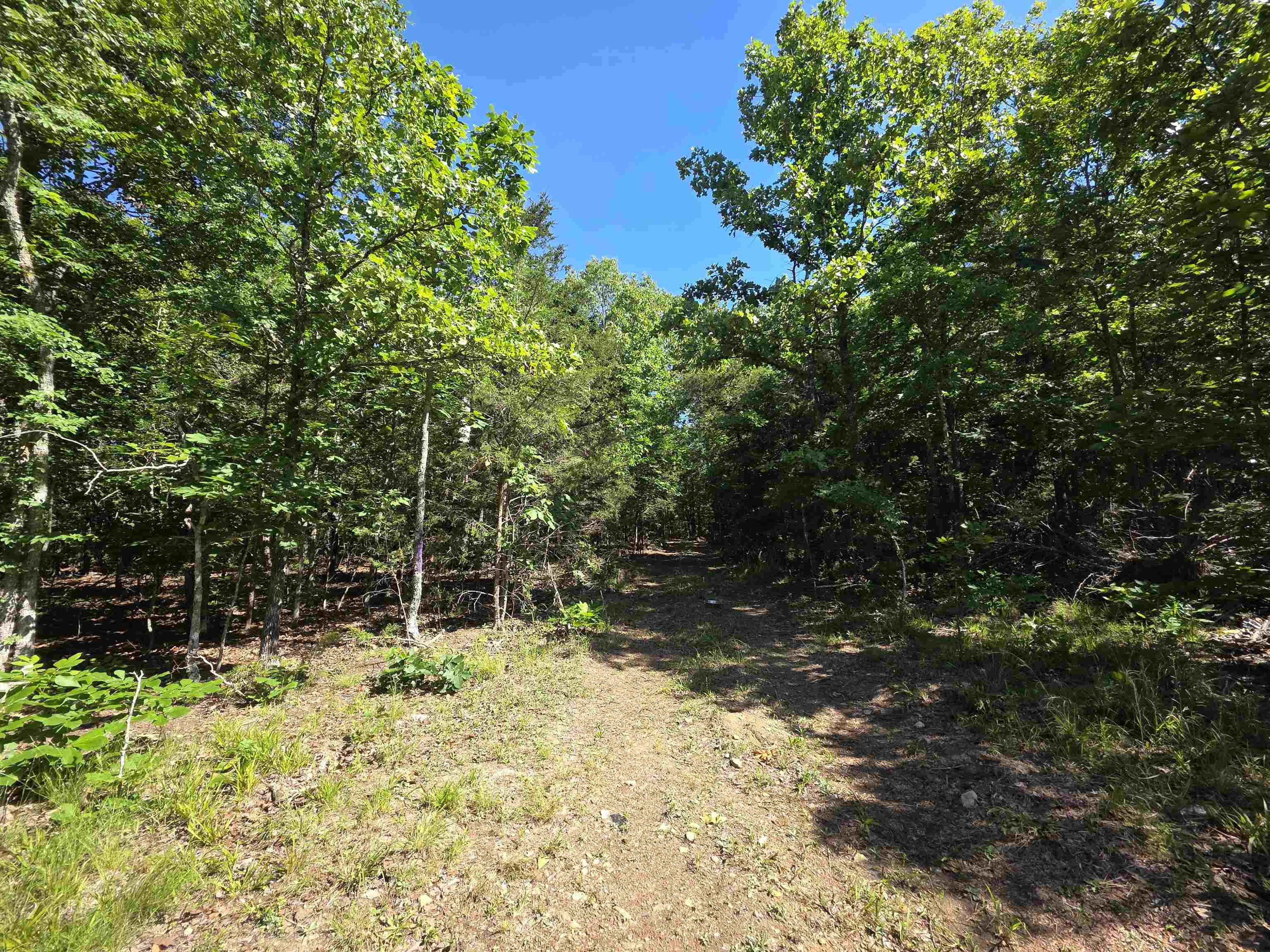 L-52 Barnes  Evening Shade, AR