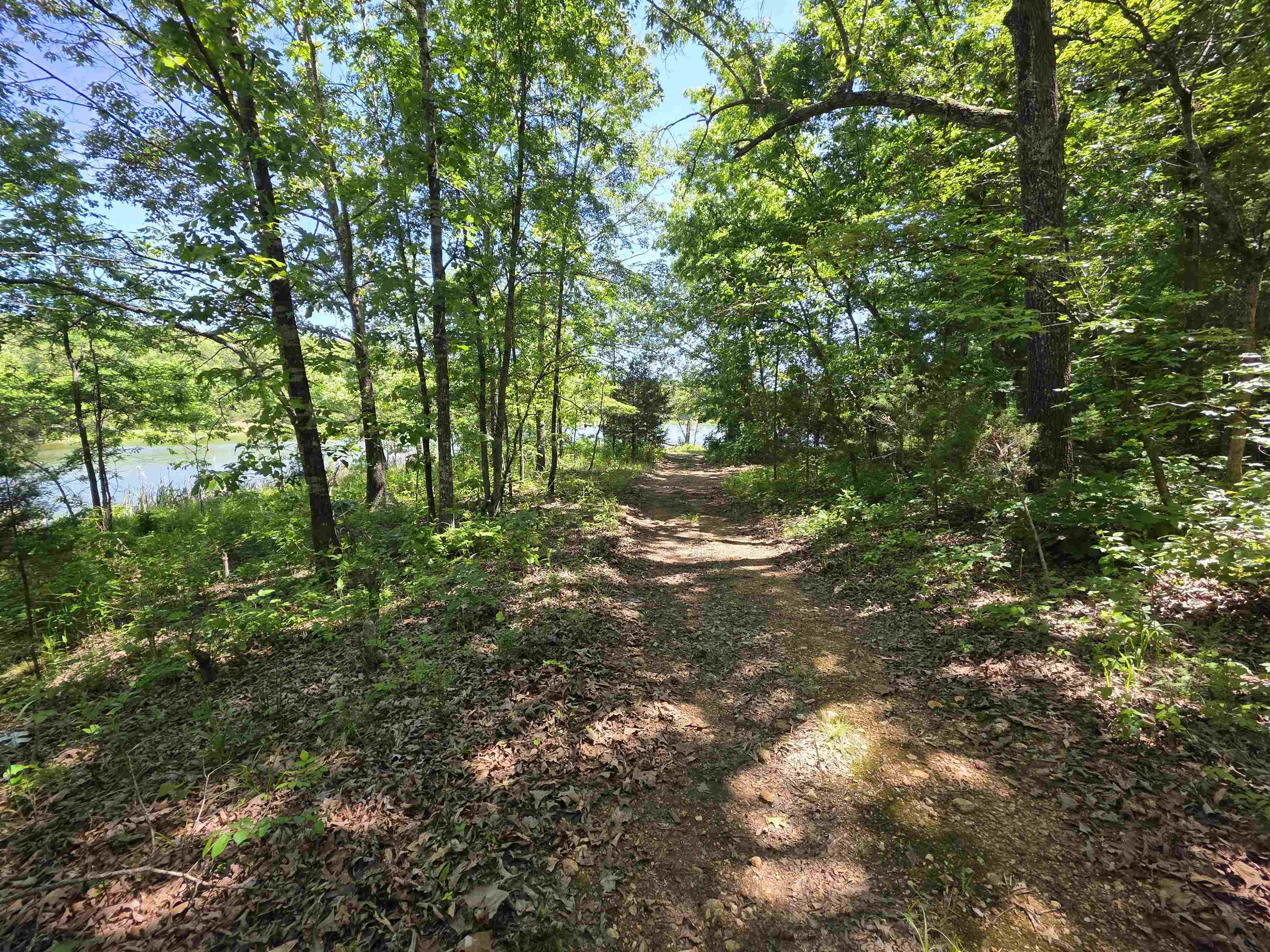 L43, 44 White Horse Mountain  Hardy, AR