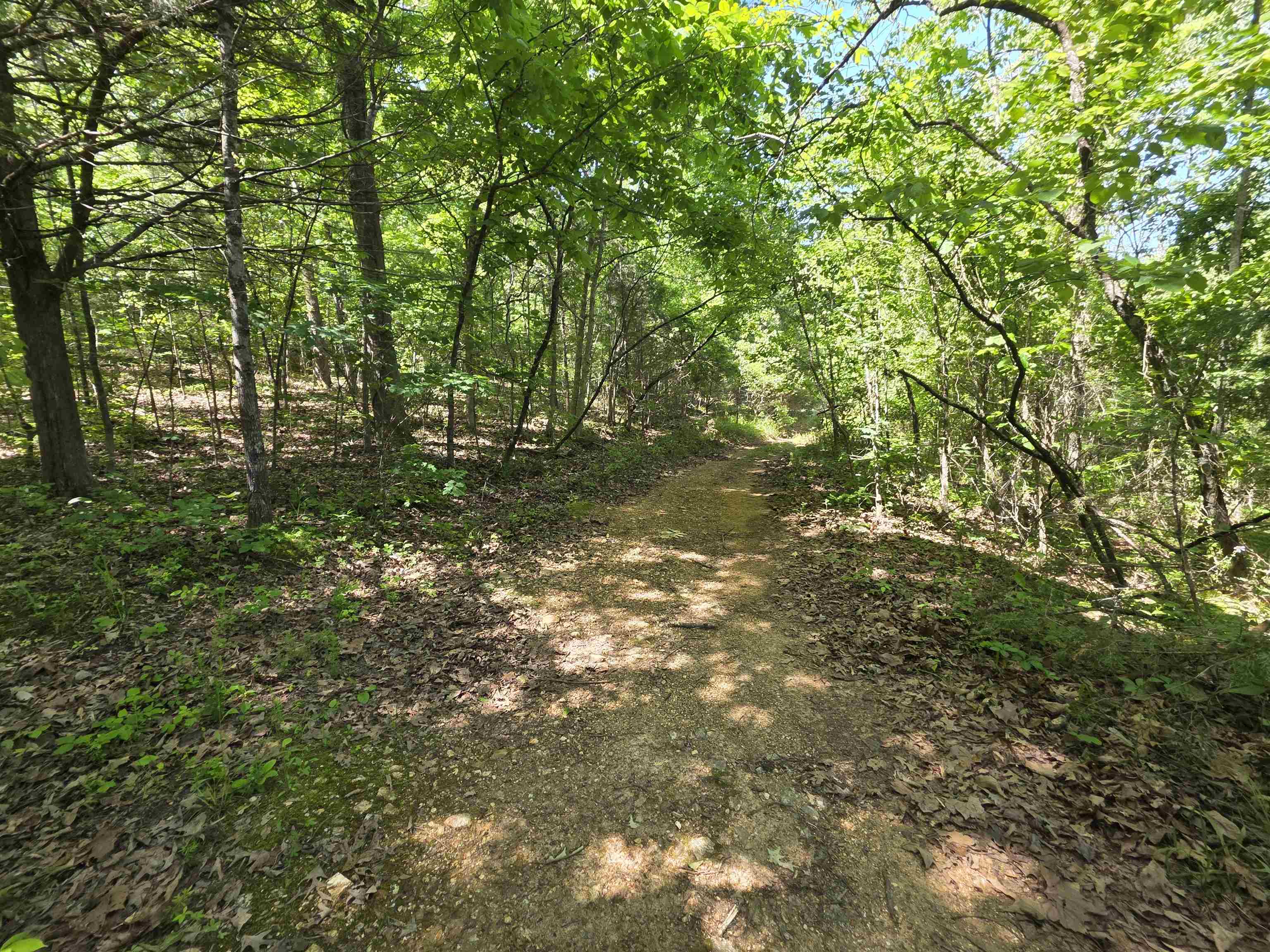 L43, 44 White Horse Mountain  Hardy, AR