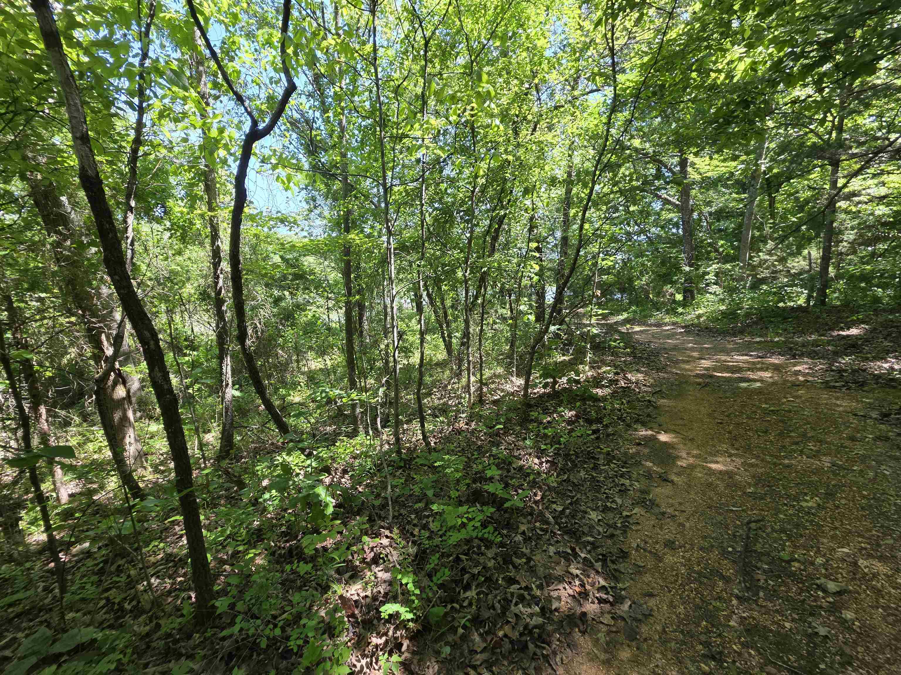 L43, 44 White Horse Mountain  Hardy, AR