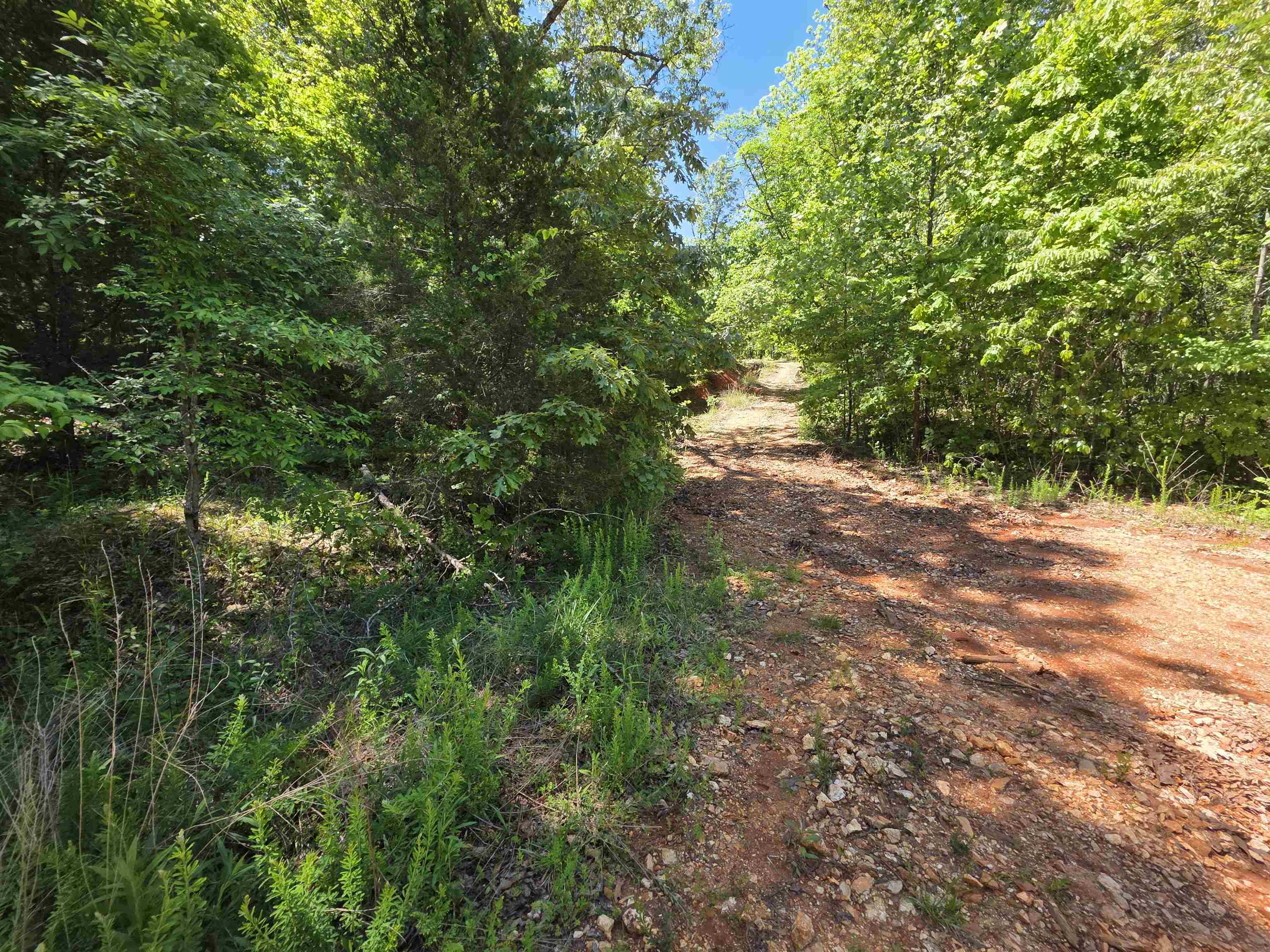 L43, 44 White Horse Mountain  Hardy, AR