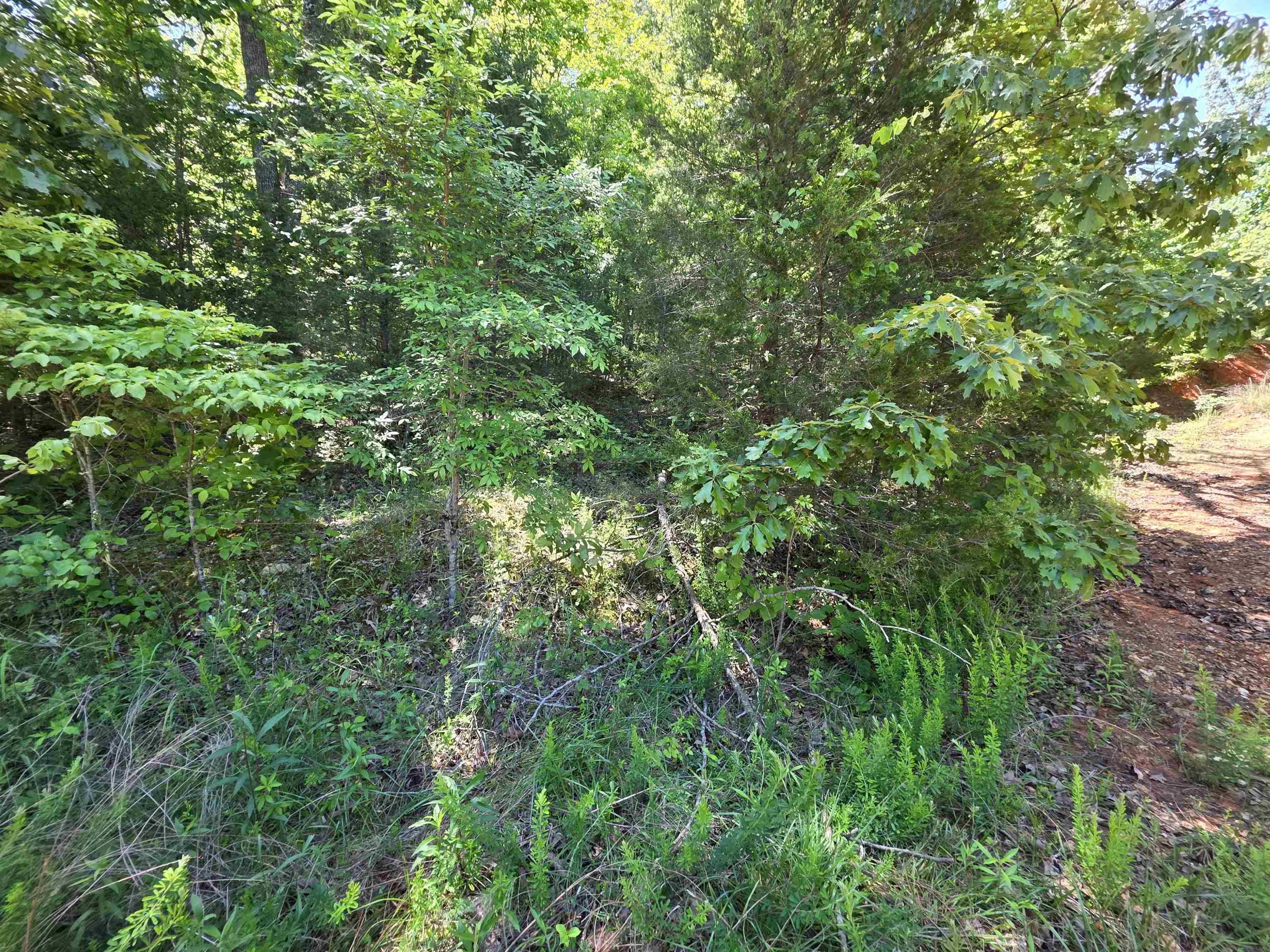 L43, 44 White Horse Mountain  Hardy, AR
